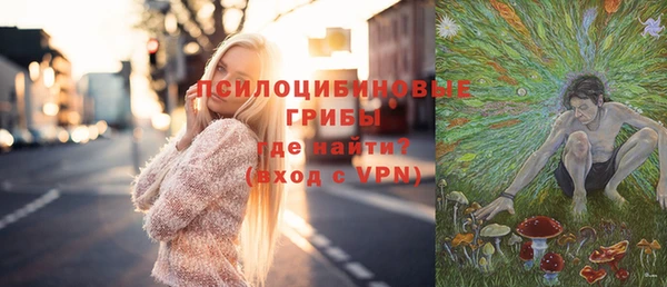 шишки Алзамай