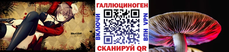 где продают   Ладушкин  Псилоцибиновые грибы мицелий 